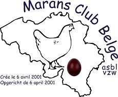 marans club belge